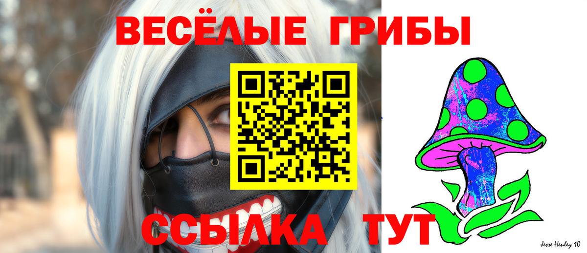 магазин  наркотиков  Псилоцибиновые грибы GOLDEN TEACHER  Галлюциногенные грибы Cubensis  Вход с VPN  Нижнеудинск 